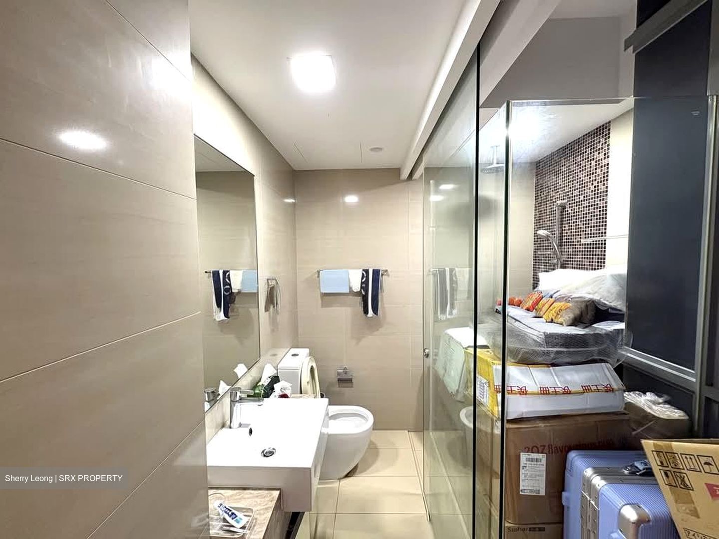 Angullia Park Residences @ Orchard (D10), Apartment #592010451